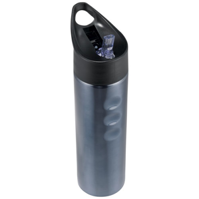 TRIXIE 750 ML STAINLESS STEEL METAL SPORTS BOTTLE in Titanium