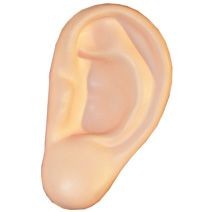 EAR STRESS ITEM