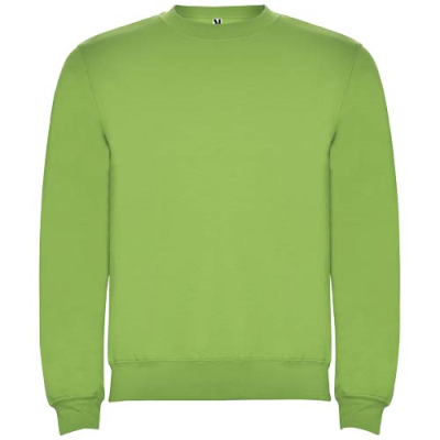 CLASICA CHILDRENS CREW NECK SWEATER in Oasis Green