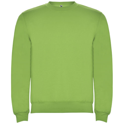 CLASICA UNISEX CREW NECK SWEATER in Oasis Green