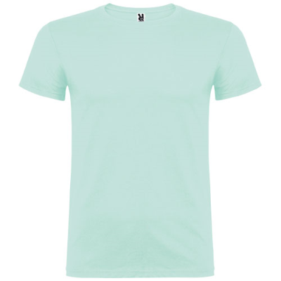 BEAGLE SHORT SLEEVE MENS TEE SHIRT in Mints