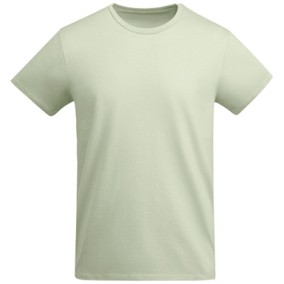 BREDA SHORT SLEEVE MENS TEE SHIRT in Mist Green