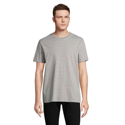 LEGEND TEE SHIRT ORGANIC 175G in Grey