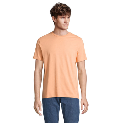 LEGEND TEE SHIRT ORGANIC 175G in Orange