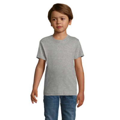 REGENT F CHILDRENS TEE SHIRT 150G in Grey