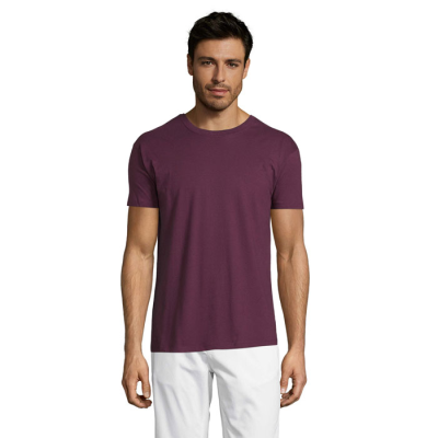 REGENT UNI TEE SHIRT 150G in Brown