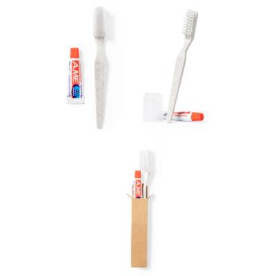 TOOTHBRUSH DENTAL KIT