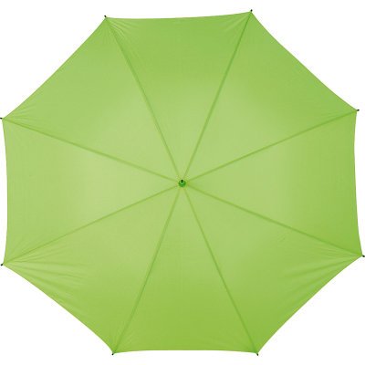 SPORTS UMBRELLA in Pale Green